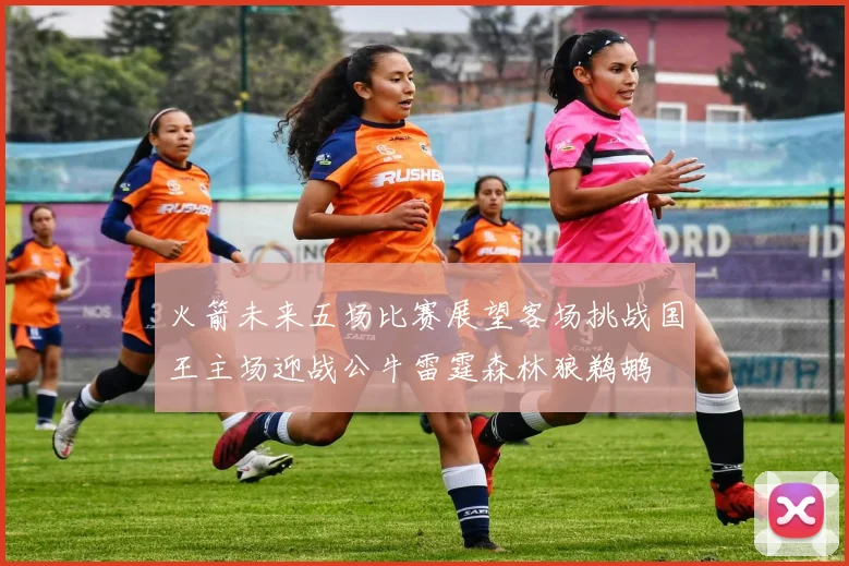 火箭未来五场比赛展望客场挑战国王主场迎战公牛雷霆森林狼鹈鹕