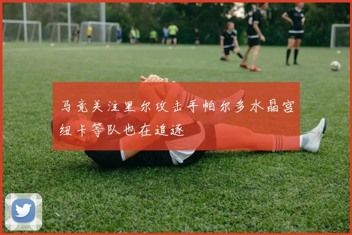 马竞关注里尔攻击手帕尔多水晶宫纽卡等队也在追逐