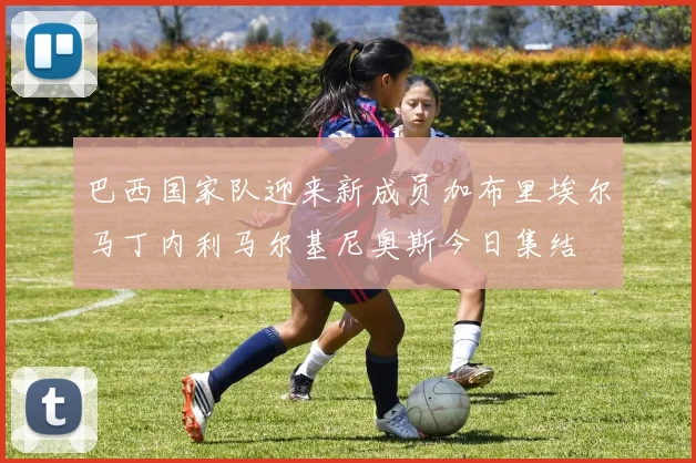 巴西国家队迎来新成员加布里埃尔马丁内利马尔基尼奥斯今日集结